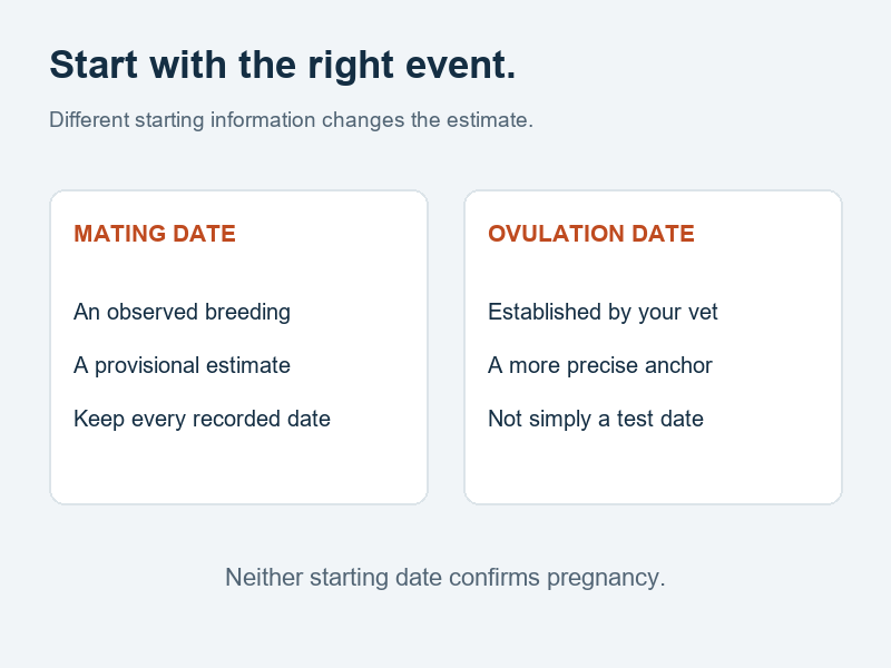 Comparison of an observed mating date and a veterinarian-established ovulation date as different starting points for a pregnancy estimate.