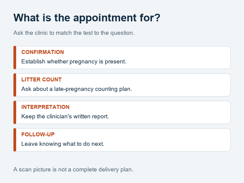 Appointment planning diagram separating pregnancy confirmation, a late-pregnancy litter count, and a veterinary follow-up plan.